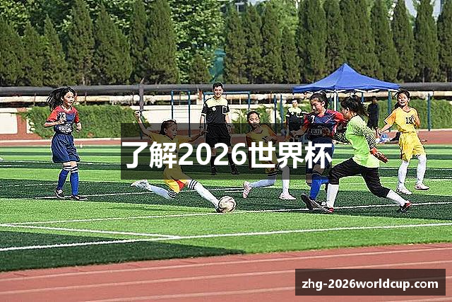 了解2026世界杯